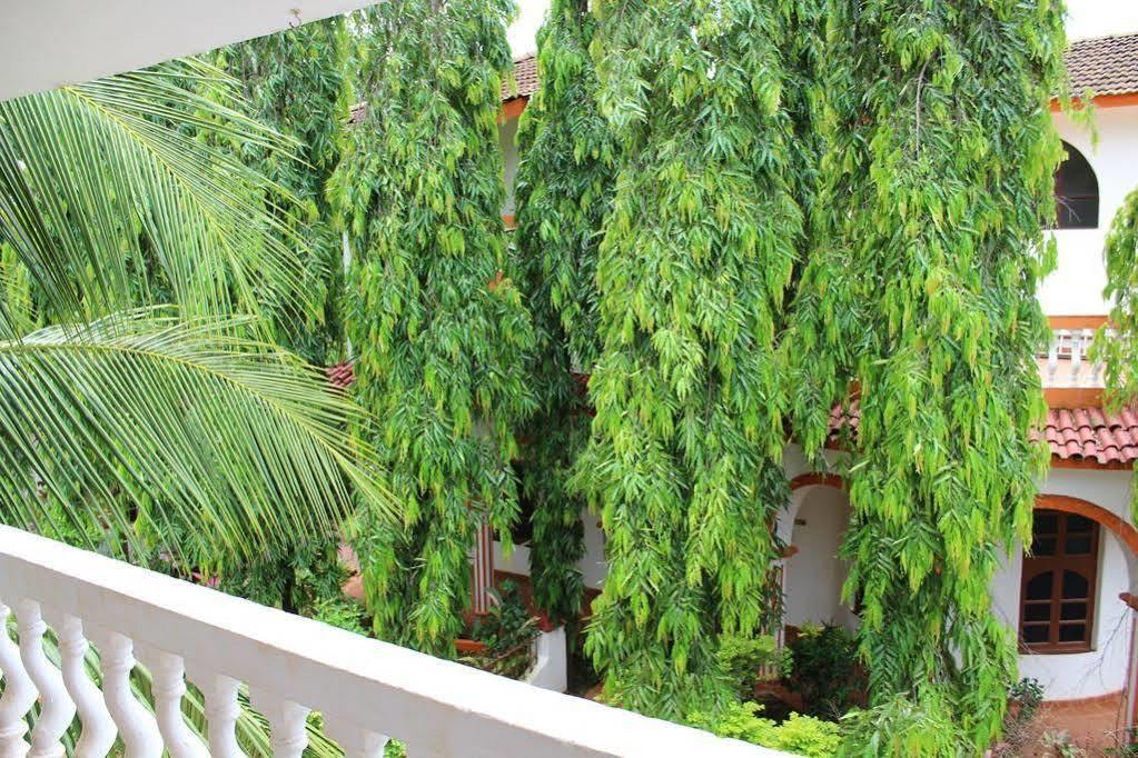 לינה וארוחת בוקר באג'ה Sugar Plum Macedo Palms מראה חיצוני תמונה